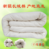 特价新疆特级长绒棉花被芯 双人加厚冬被 棉絮床褥垫被11斤 包邮