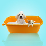 爱丽思 中小型犬用 狗狗洗澡盆 浴盆BO600E抗菌环保猫犬通用包邮