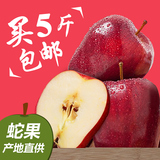 2015冷藏香甜苹果 新鲜花牛苹果水果苹果 国产蛇果5斤包邮 胜烟台