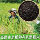 新米黑米贵州农家特产有机紫米无污染黑糯米老品种原产地黑糯米