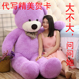 1.6.2.3米毛绒玩具泰迪熊公仔大号布娃娃1.8米抱抱熊女生日礼物