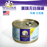 美国Wellness 全天然无谷物猫罐猫罐头猫湿粮牛肉三文鱼*155g