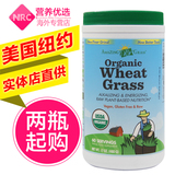 Amazing Grass小麦草粉大麦若叶青汁纤维素通便仅限以2的倍数购买