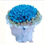 情人节鲜花预定生日99朵蓝玫瑰花束花店鲜花速递预定鲜花批发