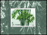 【丁丁邮票】1993年邮票1993-7M竹子小型张 集邮 收藏  全品