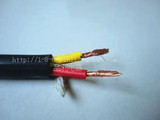 橡胶电线电缆二芯2*1.5/2.5/4平方软护套线 铜包铝黑色 带绳 厂标