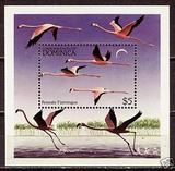 多米尼克1984年发行火烈鸟wwf组外品邮票小型张ck tj
