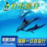 毛里求斯旅游方杰旅行：一日自由行快艇看海豚天涯海角自然桥蓝湾