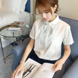 甜美简约小清新韩版领结衬衫短袖女 新品兔耳朵打底百搭半袖衬衣