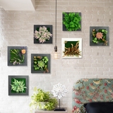 仿真花相框花艺创意多肉植物绿植挂件墙挂3D立体装饰客厅绿色壁挂