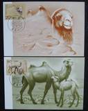 2003年野骆驼邮票总公司极限片全套2枚