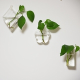 创意绿萝水培梅花瓶形壁挂花瓶 悬挂玻璃透明墙壁装饰垂吊容器瓶