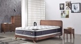 双面睡感乳胶椰棕床垫 七星级帆船酒店床垫舒适1.5m1.8m2m床垫