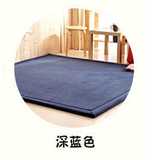超厚3cm防滑珊瑚绒地毯榻榻米地垫客厅卧室地毯儿童爬行防滑地毯