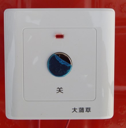 Touch delay switch and manual emergency power off (toilet exhaust fan dedicated 0-20 minute delay adjustable)