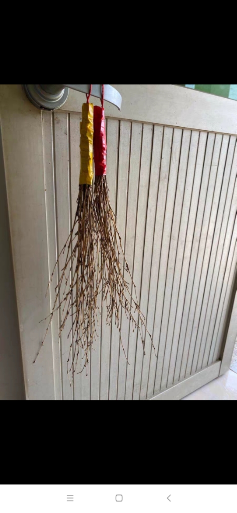 教棍戒尺竹鞭家用软竹条竹条子细竹枝竹鞭子藤条教鞭