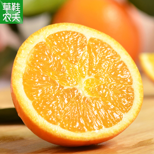 正宗秭归纽荷尔橙子应季新鲜水果现摘65到75果径脐橙