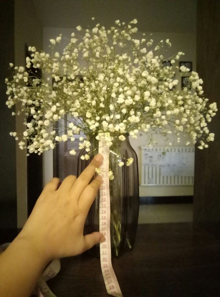 【热卖爆款】满天星干花花束云南天然风干生日礼物diy