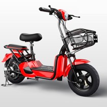 e bike battery online shopping