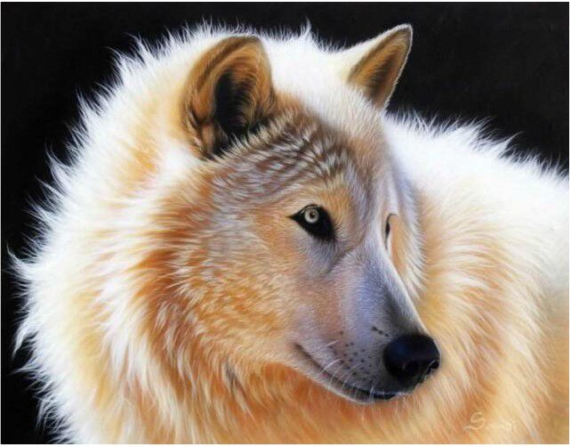 cmc十字绣正品专卖十字绣狼 雪狼 图腾动物szx 精准印花客厅卧室