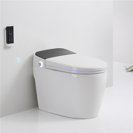 Home Improvement Materials One Smart Toilet Taobao Agent English Taobao Tobuyla Com