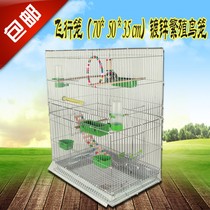 tall parrot cage