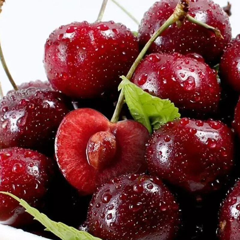 西兰中奥塔哥直邮co 车厘子樱桃26  2kg礼盒孕妇水果顺丰冷链派送