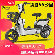 electric bicycle built for two