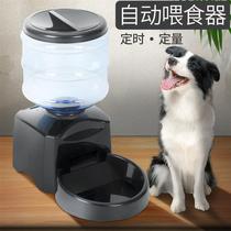 large dog auto feeder