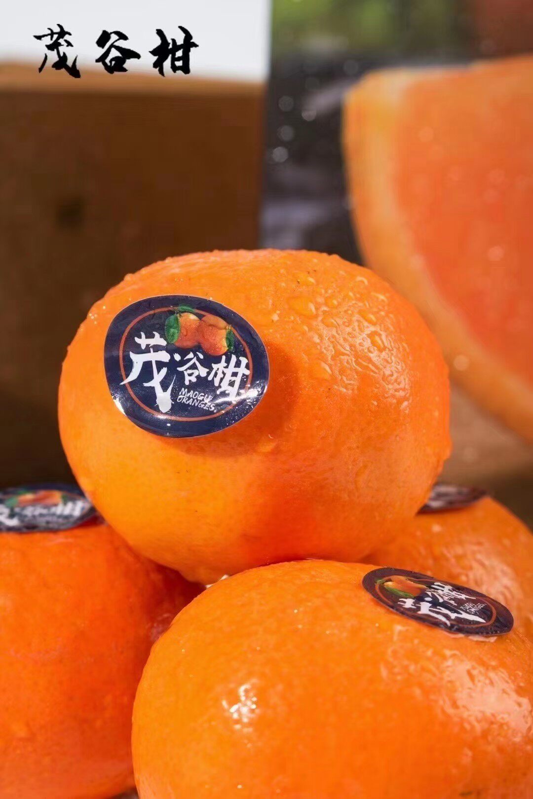 Taiwan Maogu Citrus 6 catties gift box selection of large fruit citrus honey citrus super sweet juicy orange fresh fruit hair shunfeng