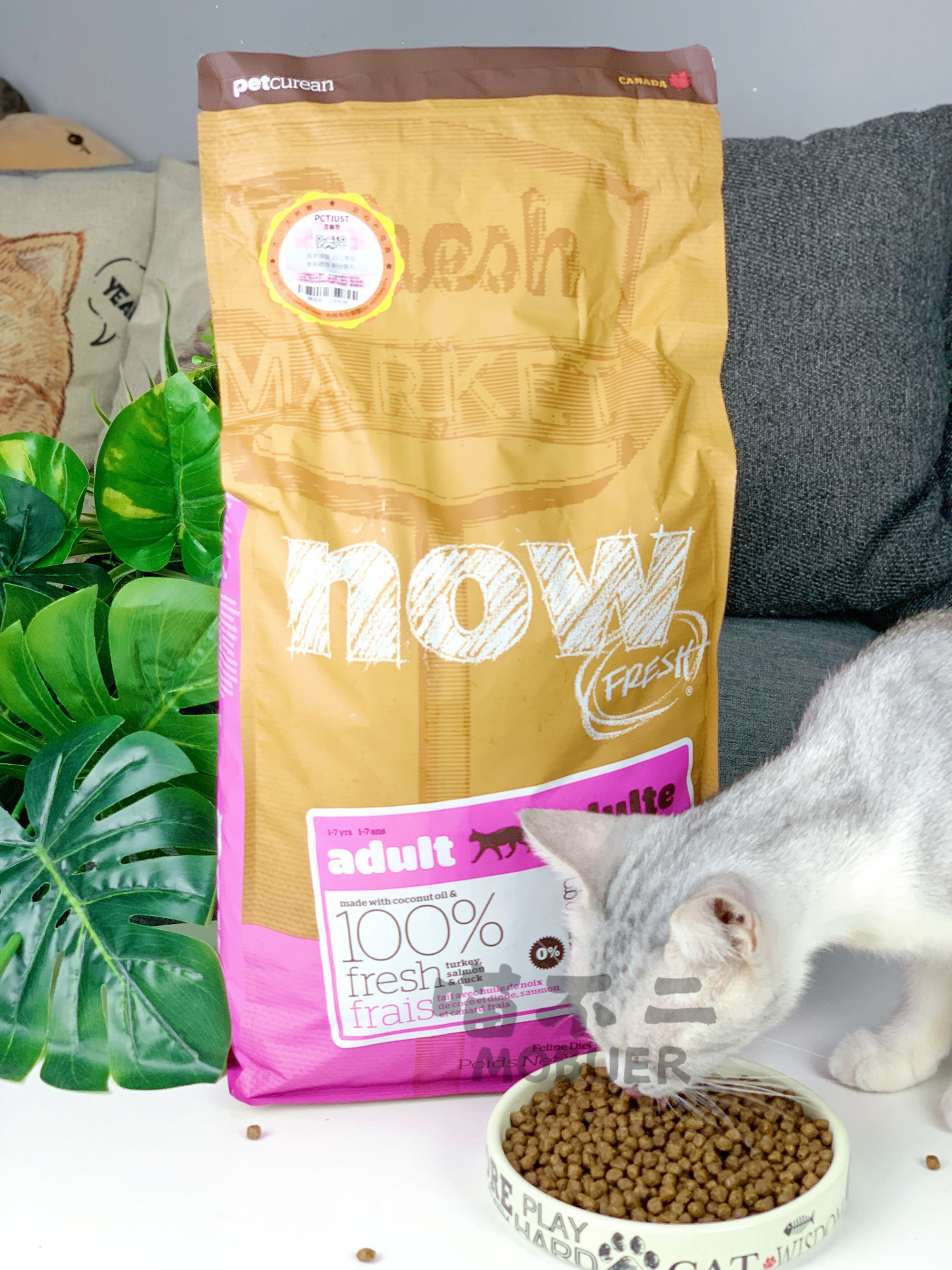 No more than two hundred Canadian anti-counterfeiting Canada importED NOW into cat food 8 pounds of natural valley-free cat food into a cat