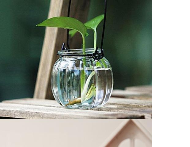 Bình treo mini tươi chai nhỏ treo chai thủy tinh đơn giản treo chai Gửi dây móc - Vase / Bồn hoa & Kệ lọ cắm hoa hồng