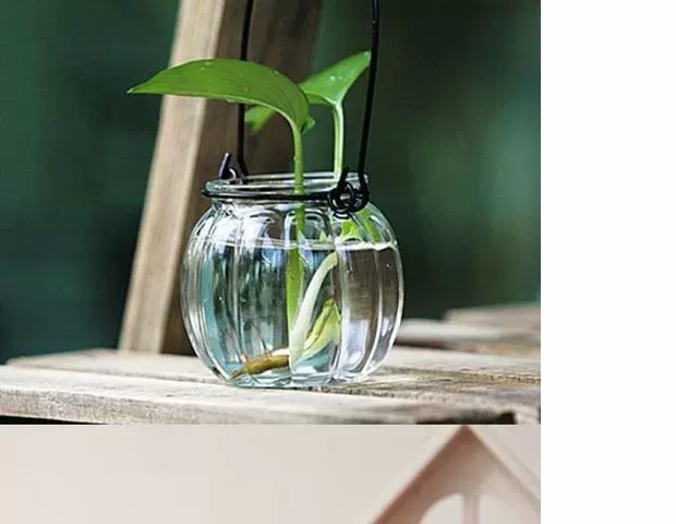 Bình treo mini tươi chai nhỏ treo chai thủy tinh đơn giản treo chai Gửi dây móc - Vase / Bồn hoa & Kệ