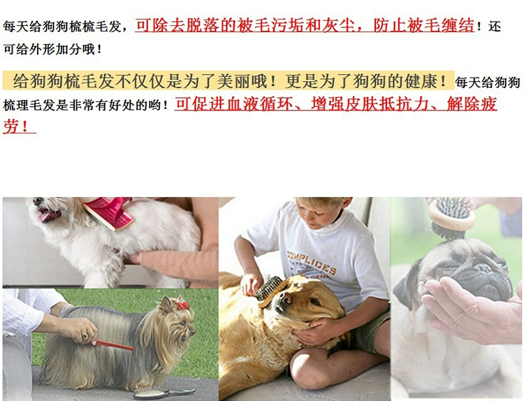 Pet thẳng lược chải chuốt cho chó Vật tư làm sạch bằng thép không gỉ Lược chải lông mèo và chó