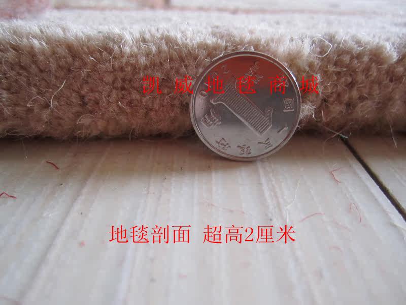 ковер 美式田园纯羊毛地毯 客厅卧室茶几地毯 外贸出口原单特价包邮 OTHER