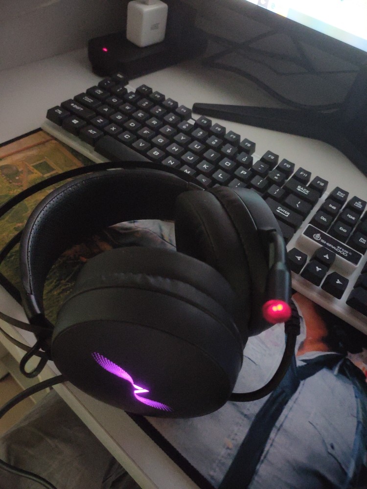 雷柏vh310游戏电脑耳机头戴式带麦7.1声道降躁有线台式电竞网吧