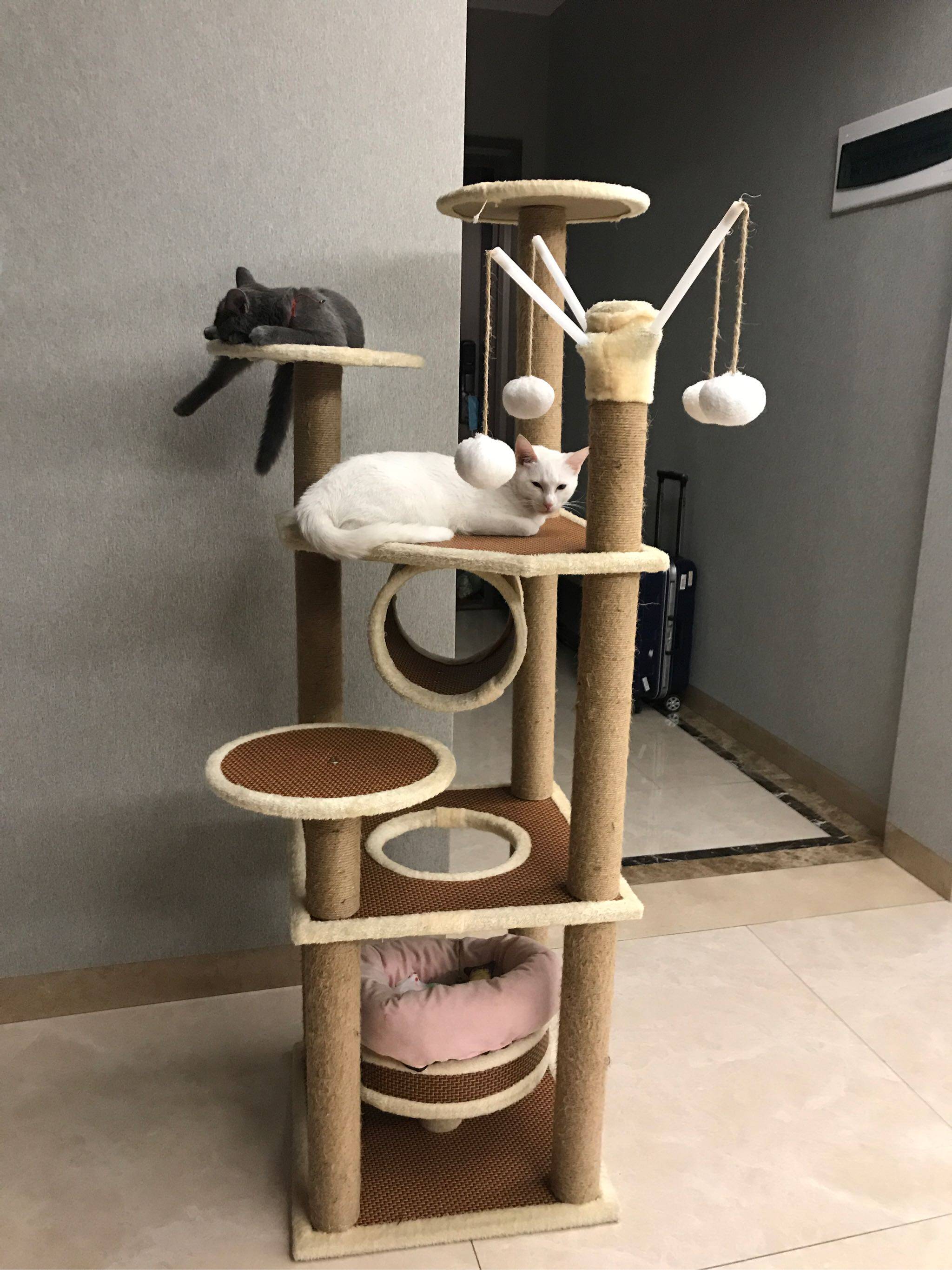 大型爬架猫网红不占地猫爬架猫窝麻藤猫架猫树一体猫咪猫抓板/柱