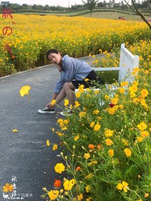 6双宝娜斯丝袜女春夏连裤袜防勾丝薄款长筒黑肉色女打底袜超薄秋