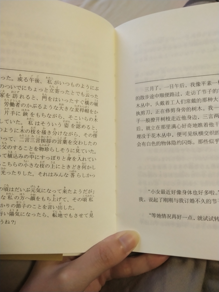 小说中日对照日语读物原版翻译书籍 日语课外阅读日文书日语小说抖音
