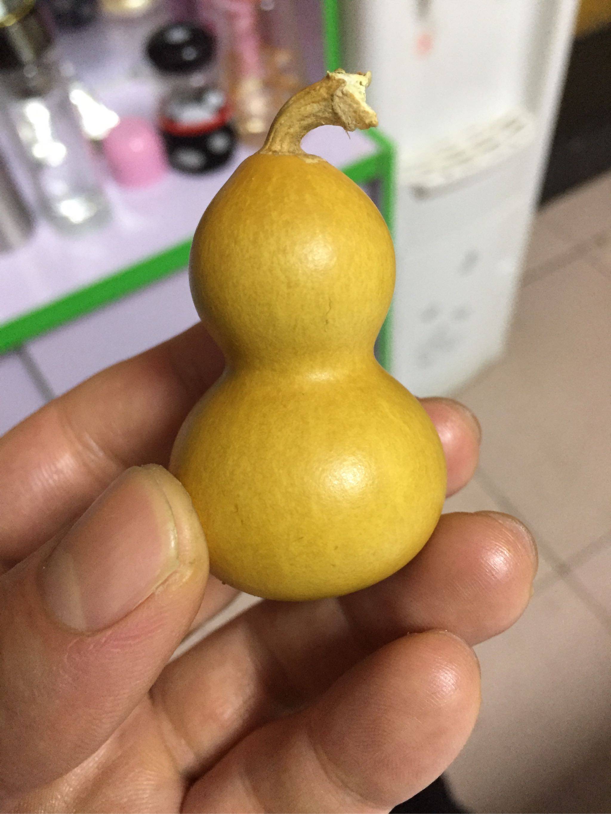 天然小葫芦精品文玩手捻把玩手玩带龙头手把件镇宅居家真葫芦挂件